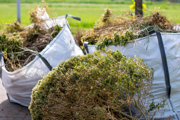 Best Same-Day Junk Removal  in Laguna Park, TX
